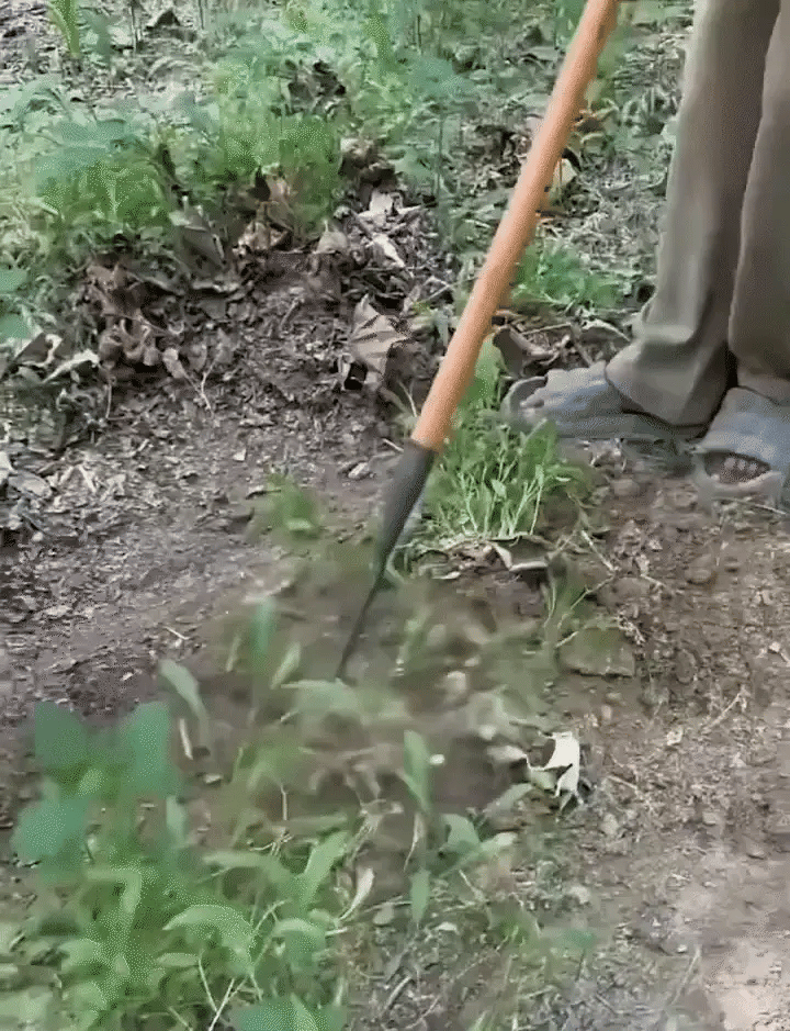 2025 Weeding Rake