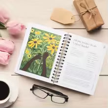 Daily Grace: A One-Year Bible Study & Devotional for Women