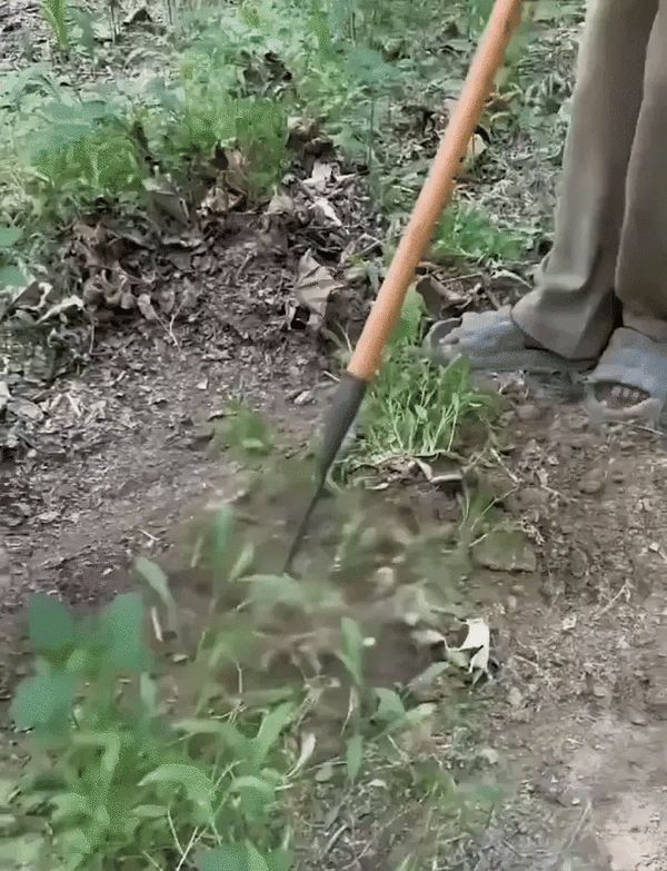 2025 Weeding Rake