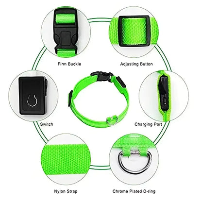 GlowSafe™ LED Night Dog Collar