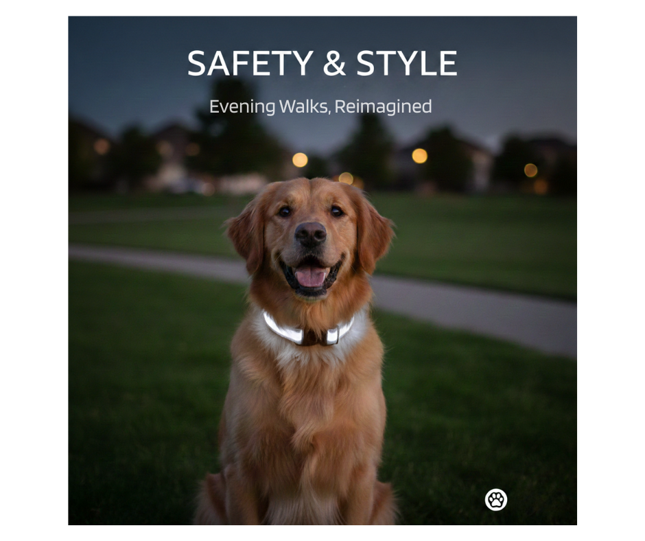 GlowSafe™ LED Night Dog Collar