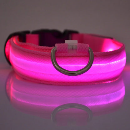 GlowSafe™ LED Night Dog Collar