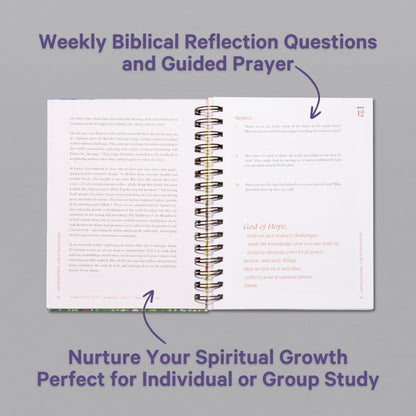 Daily Grace: A One-Year Bible Study & Devotional for Women