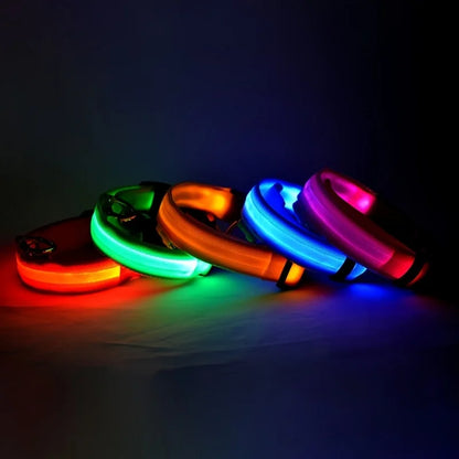 GlowSafe™ LED Night Dog Collar