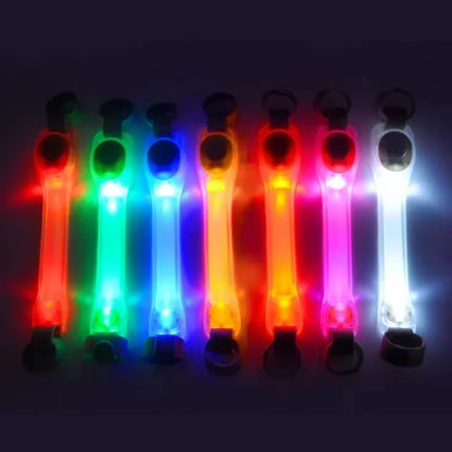 GlowGuard Dog Safety Light Harness