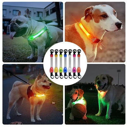 GlowGuard Dog Safety Light Harness