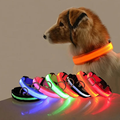 GlowSafe™ LED Night Dog Collar