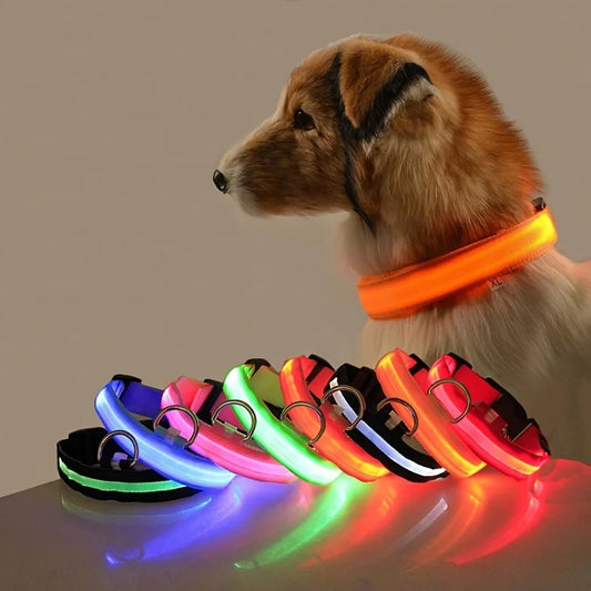 GlowSafe™ LED Night Dog Collar