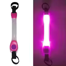 GlowGuard Dog Safety Light Harness
